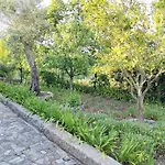 Belo Encanto Do Paiva