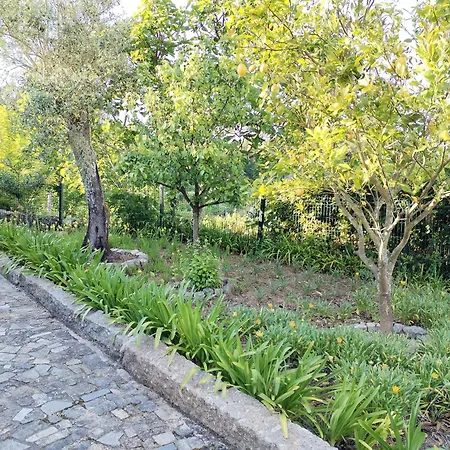 Belo Encanto Do Paiva