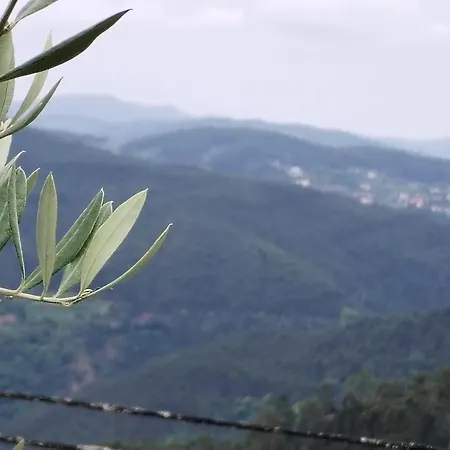 Belo Encanto Do Paiva * Castelo de Paiva