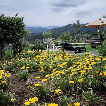 Belo Encanto Do Paiva *