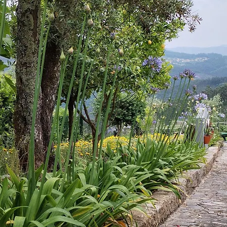 Belo Encanto Do Paiva Castelo de Paiva