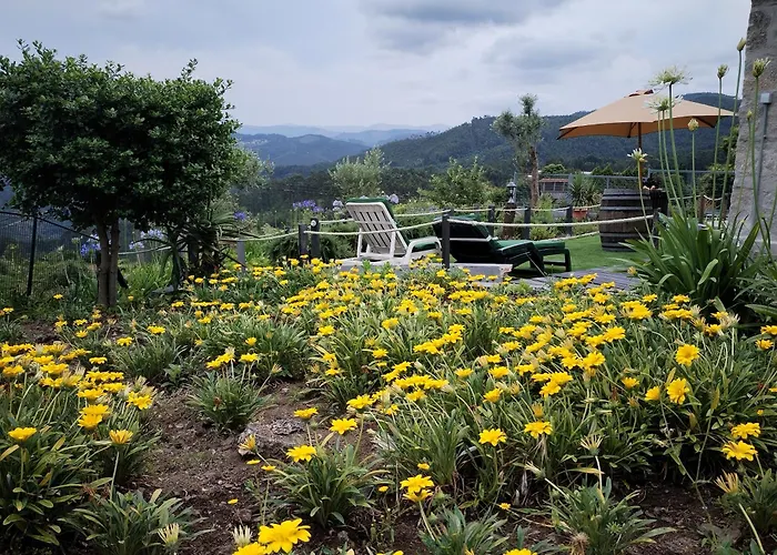 Belo Encanto Do Paiva *