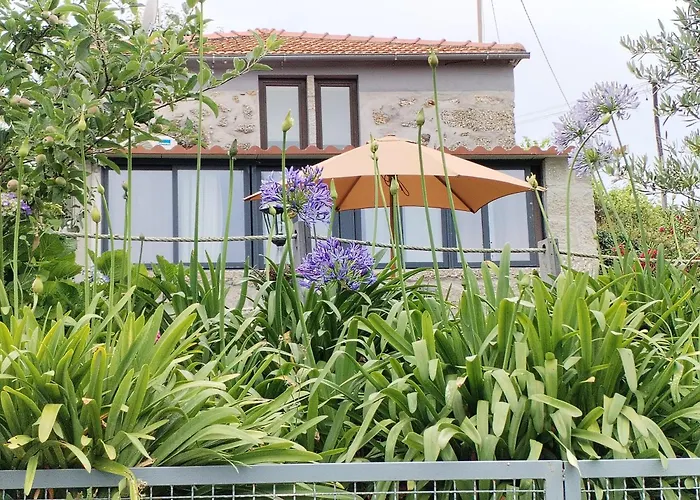 Belo Encanto Do Paiva *